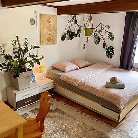 Cozy Room In An Old Farmhouse Near Vaduz Sevelen エクステリア 写真
