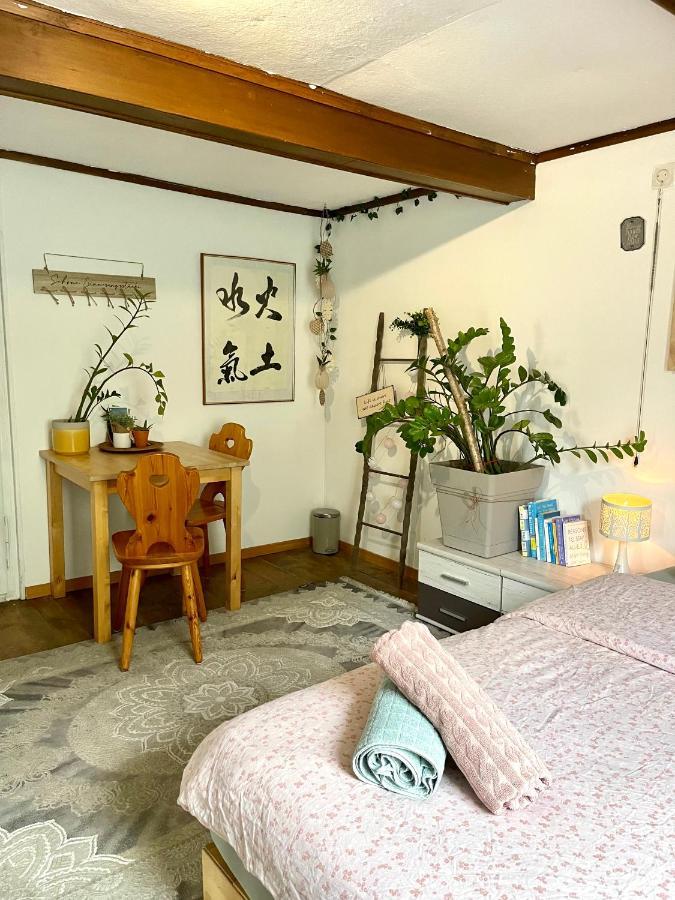 Cozy Room In An Old Farmhouse Near Vaduz Sevelen エクステリア 写真