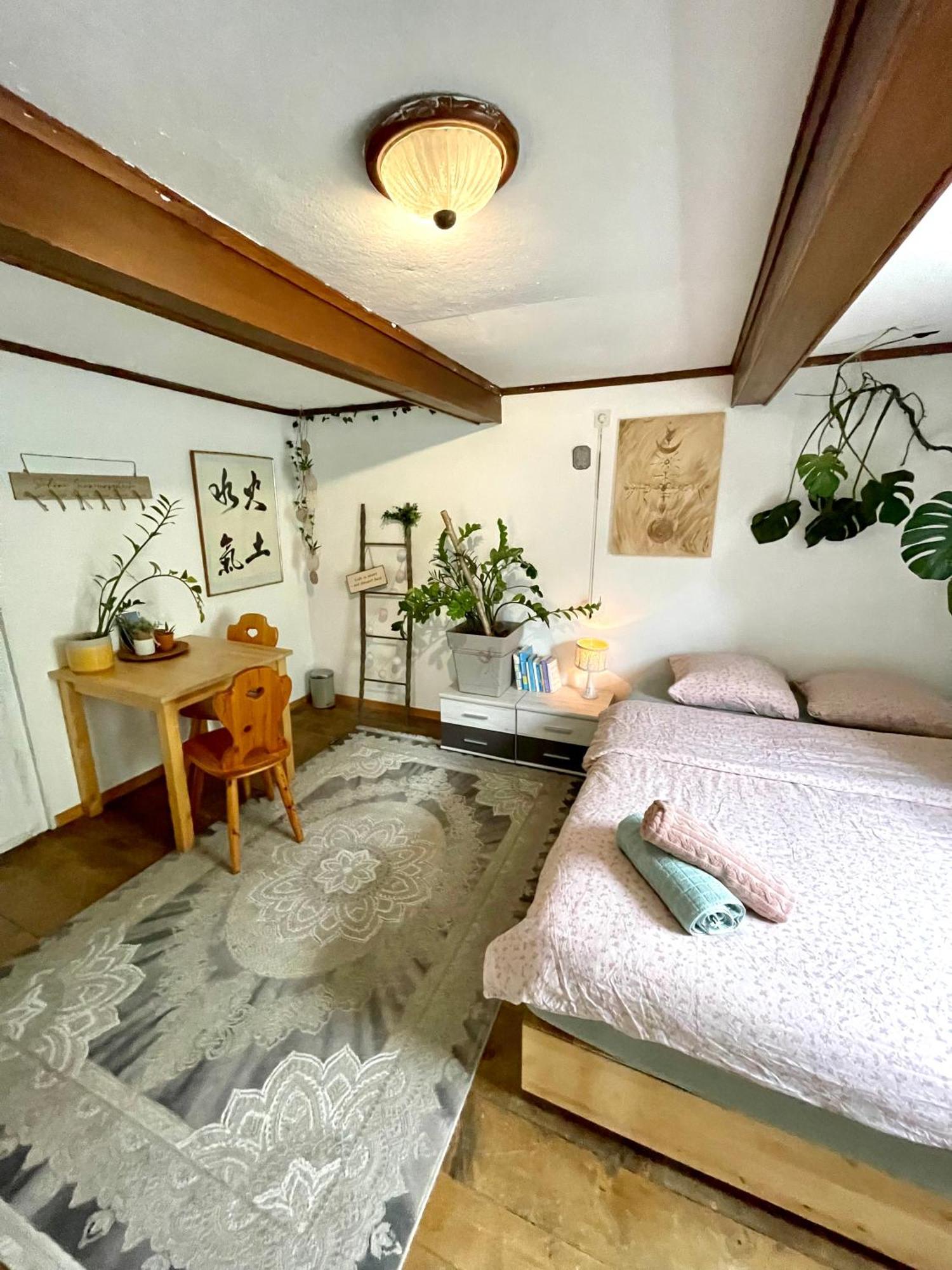 Cozy Room In An Old Farmhouse Near Vaduz Sevelen エクステリア 写真