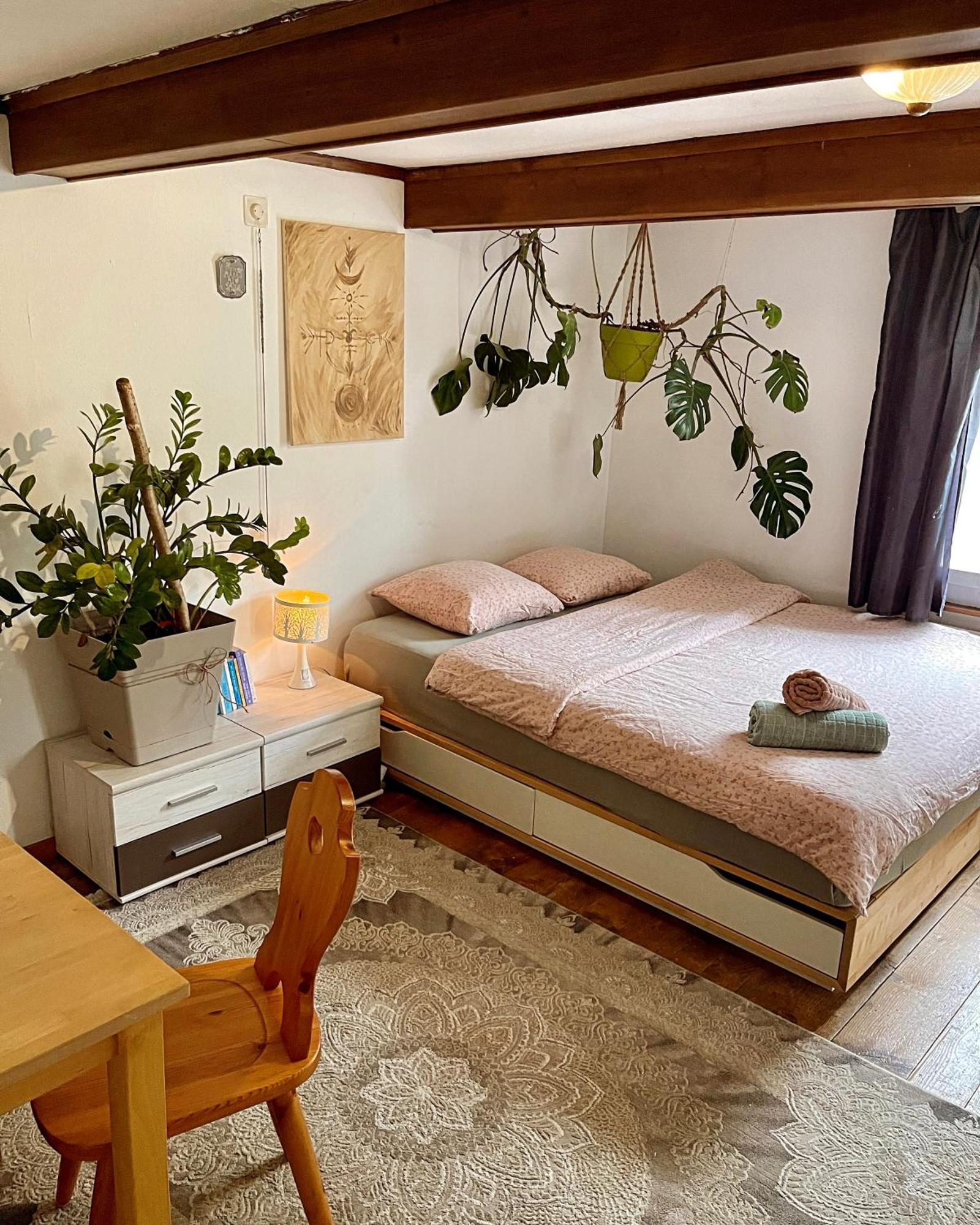 Cozy Room In An Old Farmhouse Near Vaduz Sevelen エクステリア 写真